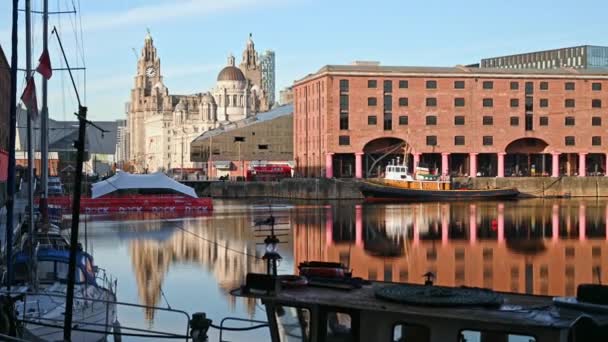 Liverpool November 2019 Zoom Out Liver Building Albert Dock Liverpool — 비디오