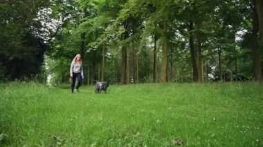 Sarışın bir kadın otlak bir arazide büyük siyah tüylü Labradoodle köpeğini gezdiriyor.