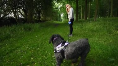 PPE maskeli bir kadın ve siyah labrador köpeğini ağaçlarla kaplı bir orman yolunda kameradan uzaklaştırıyor.