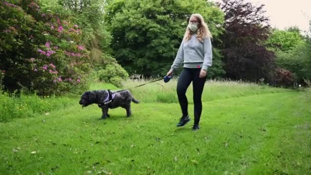 Woman Wearing Ppe Face Mask Walks Black Labradoodle Dog Camera — Stock Video