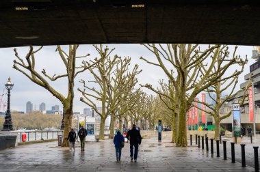 Gri bir günde Southbank 'in güzelliğini tecrübe edin, yeni kesilmiş çıplak ağaçların altında yürüyün, şehrin kalbinde huzurlu bir atmosfer yaratın..