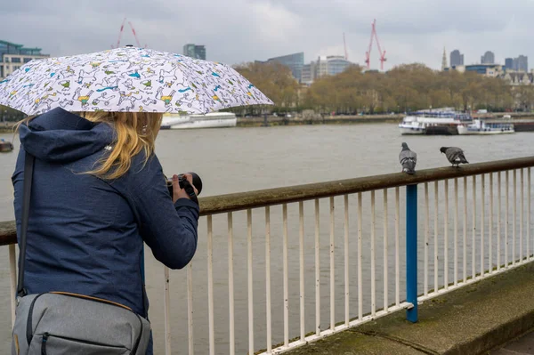 London Április 2023 Női Fotós Esernyővel Rögzíti Szépségét Városi Élővilág — Stock Fotó