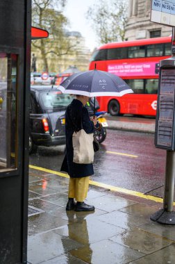 LONDON - 24 Nisan 2023: Londra 'da yağmurlu bir günü klasik siyah taksiler ve kırmızı çift katlı otobüsler arasında şemsiye ve cep telefonuyla kucaklamak.