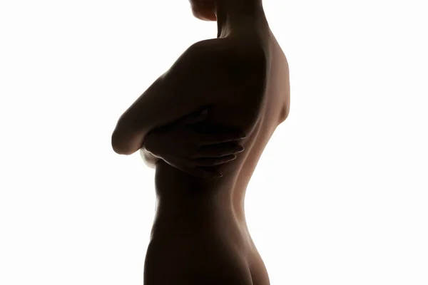 Silhouette Nuda Donna Bellissimo Corpo Ragazze Indietro — Foto Stock