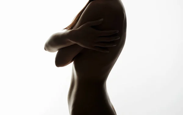 Silhouette Nuda Donna Bellissimo Corpo Ragazze Indietro — Foto Stock