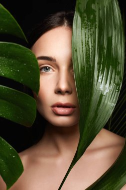Palmiye yapraklı esmer kızın güzel portresi. Makyajlı güzel bir genç kadın. Doğal kozmetik konsepti