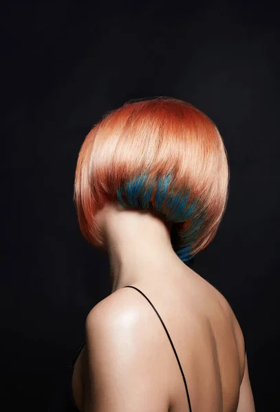 Woman with beautiful color Hair. Female back. Girl with trendy Haircut. Hairstyle