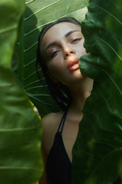 Palmiye yapraklarının arkasında güzel bir yaz kızı. Ormanda palmiye ağacının altında bikinili seksi bir kadın. Güzellik Portresi