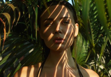 Gün batımında güzel bir yaz kızı. Palmiye ağacının altında bikinili seksi bir kadın. Güzellik Portresi