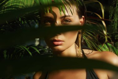 Islak saçlı güzel bir yaz kızı. Palmiye ağacının altında bikinili seksi bir kadın. Güzellik Portresi