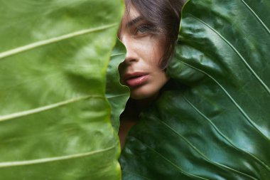 Palmiye yapraklarının arkasında güzel bir yaz kızı. Ormanda palmiye ağacının altında bikinili seksi bir kadın. Güzellik Portresi