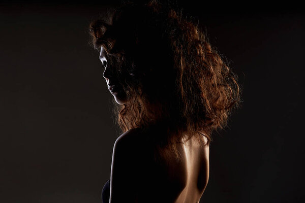 Beautiful Woman with curly Hair. Hairy Girls portrait. Female silhouette