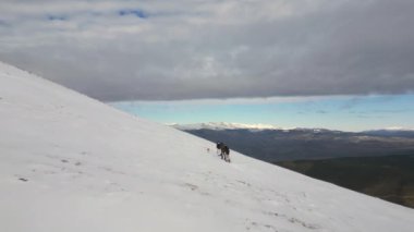 Shiba inu köpeğiyle grup insanlar kış dağına tırmanıyor, insansız hava aracı manzaralı. Kış yürüyüşçüleri geliyor, karlı dağ havası manzarasında seyahat ediyorlar. Kış sporu ve aktivitesi. Yüksek kalite 4k görüntü