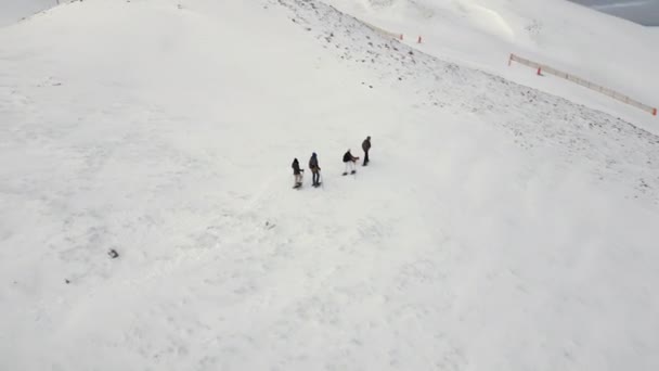 Grupo Pessoas Com Cão Shiba Inu Sobe Montanha Inverno Vista — Vídeo de Stock