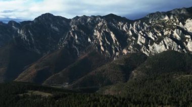 Ağaçların üzerinde alçaktan uçmak, yaz ormanı manzarası, yaz ormanı havadan çekimi. La Molina, Pireneler dağ sırası. İnsansız hava aracı çam ağaçları ve yeşil ağaçların üzerinden uçuyor. Ormanın üzerinde uçarken