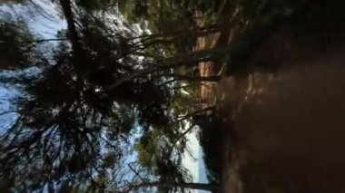 Cinematic vertical fpv shot along the coastal life between trees sunny day at Mediterranean Sea in Tossa de Mar, Costa Brava In Spain, Catalonia Aerial view. High quality 4k footage