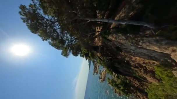 Cinematic Vertical Fpv Shot Coastal Life Trees Sunny Day Mediterranean — Stockvideo