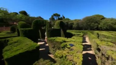 Dinamik FPV labirent çalılarının arasından ateş etti ve kızı merdivenlerden çıkarken takip etti. Açık hava parkındaki eski mimari bina, güneşli bir gün. Yüksek kalite 4k görüntü