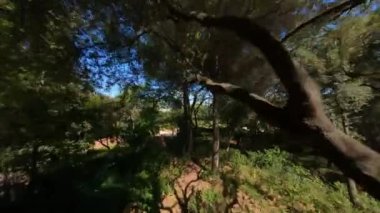 Pabellon neoklasiko adlı antik bir binanın çatısında, labirenti, açık hava parkı olan bir parkta ağaçlarla çevrili bir robot heykel. Güneşli bir gün. Yüksek kalite 4k görüntü