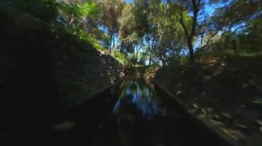 Uzun göletin üzerinde ve köprünün altında uçan dinamik Fpv İHA 'sı, ağaçlarla kaplı parkta, Pabellon neoklasico, labirenti olan bir parkta ağaçlarla çevrili, açık hava parkı, güneşli bir gün. Yüksek kalite 4k görüntü