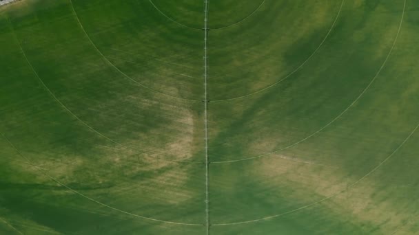 Вид Воздуха Гладкая Верхняя Часть Зеленого Поля Кругами Оросительной Системы — стоковое видео