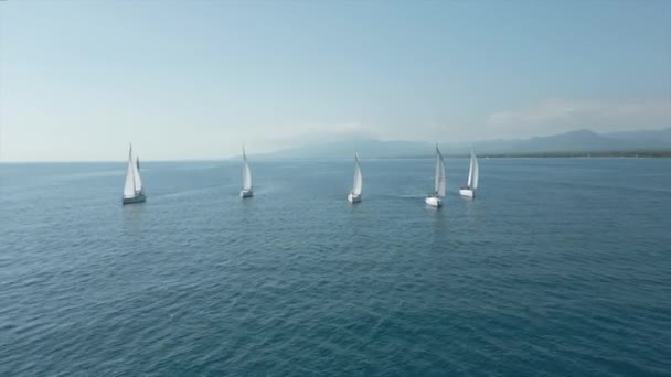 Jachta Bílými Plachtami Moři Jachting Luxusní Dovolená Regata Cambrils Španělsko — Stock video