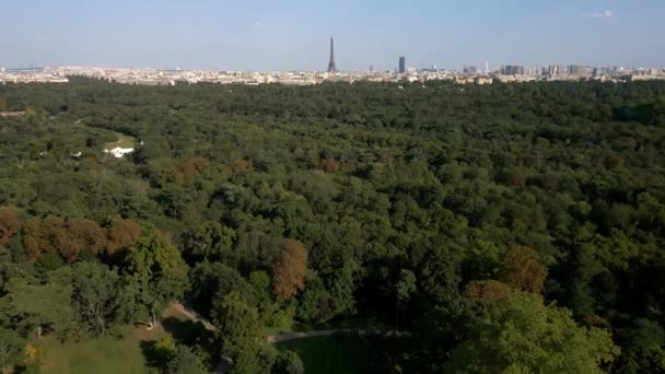Αεροφωτογραφία Του Απέραντου Πράσινου Δασικού Πάρκου Τον Πύργο Eifel Στο — Αρχείο Βίντεο