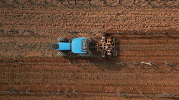 Szőlőültetvény Téli Táj Traktor Tavasz Kezdete Előtt Műveli Talajt Spanyolország — Stock videók