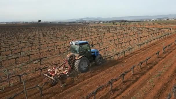 Vineyard Winter Landscape Tractor Cultivates Soil Onset Spring Spain High — Stock Video