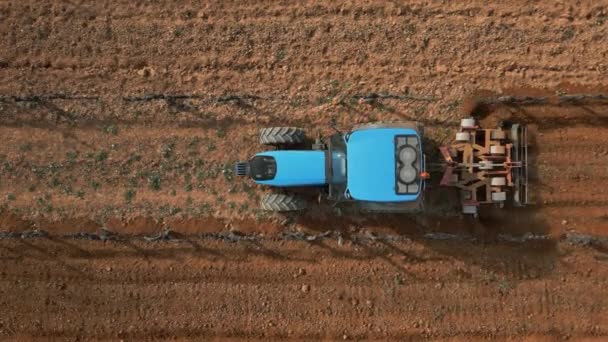 Szőlőültetvény Téli Táj Traktor Tavasz Kezdete Előtt Műveli Talajt Spanyolország — Stock videók