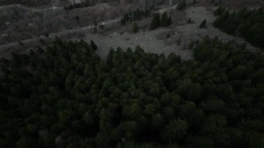 Baharda Aran Vadisi 'nde yeşil çam ormanlı Dağ Manzaralı Baqueira beresi köyü. Yüksek kalite 4k görüntü