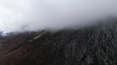 Pyrenees dağlarındaki ormandaki yoğun sislerin üzerindeki hava aracı görüntüsü. Baqueira Bere. Katalonya, İspanya