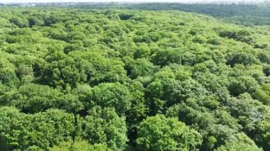 Fransa Meudon 'daki Chateau de lensemble educatif Saint-Philippe' in hava görüntüleri. Bu tarihi 19. yüzyıl neogotik kalesi yoğun bir orman ve eğitim kampüsüyle çevrilidir. İHA.