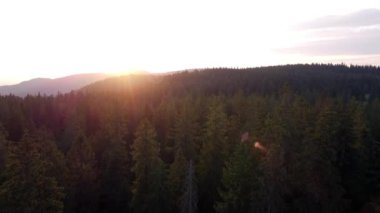 Aerial video with beautiful landscapes, roads, unique video, 