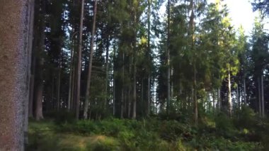 Aerial video with beautiful landscapes, roads, unique video, 