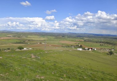 Güneşli bir günde İspanya 'nın merkezinde Extremadura' daki çayırlar