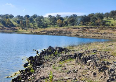 Güneşli bir günde İspanya 'nın merkezinde Extremadura' nın çayırlarında