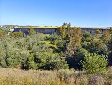 Güneşli bir günde İspanya 'nın merkezinde Extremadura' daki çayırlar