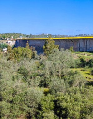 Güneşli bir günde İspanya 'nın merkezinde Extremadura' daki çayırlar