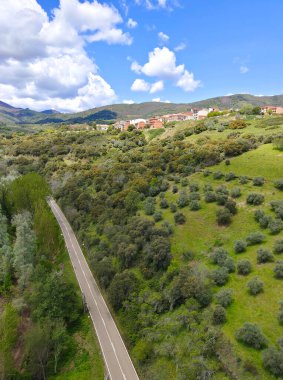 Forest in Extremadura in the center of Spain in a cloudy day
