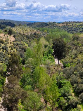 Forest in Extremadura in the center of Spain in a cloudy day