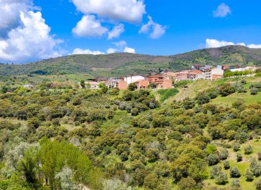 Forest in Extremadura in the center of Spain in a cloudy day