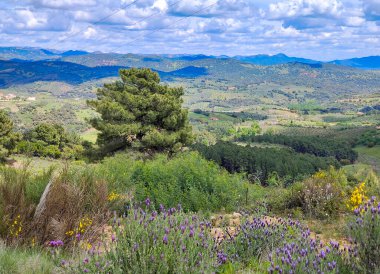 Forest in Guadalupe in Extremadura in the center of Spain in a cloudy day