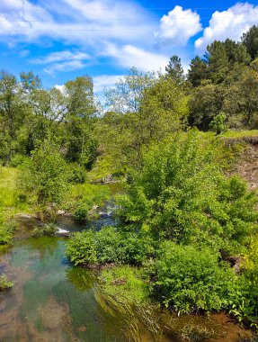 Forest in Guadalupe in Extremadura in the center of Spain in a cloudy day