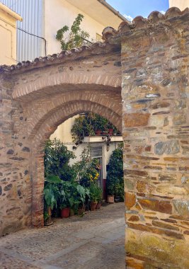 Flowers in the street of Guadalupe in Caceres in the center of Spain