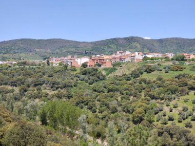 Güneşli bir günde İspanya 'nın merkezindeki Guadalupe Extremadura' da bir orman