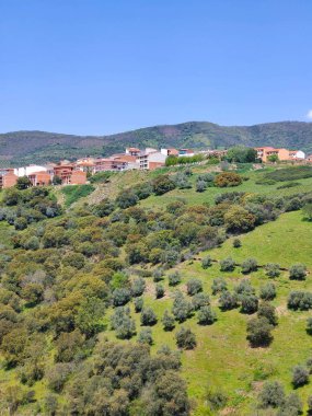Güneşli bir günde İspanya 'nın merkezindeki Guadalupe Extremadura' da bir orman