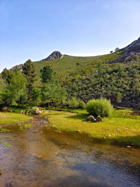 Mountains with river and flowers in Extremadura in the center of Spain in a sunny day