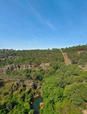 Meadows with trees and flowers in Extremadura in the center of Spain in a sunny day
