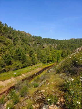Mountains with river and flowers in Extremadura in the center of Spain in a sunny day